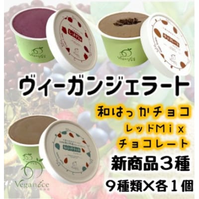 北海道産ヴィーガンジェラート　6個+新商品3個セット