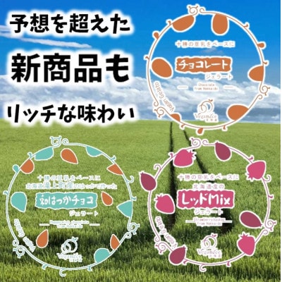 北海道産ヴィーガンジェラート　6個+新商品3個セット