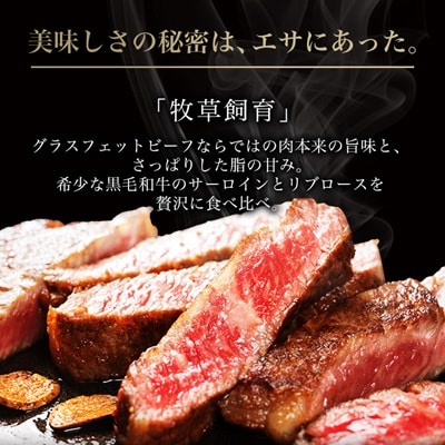十勝姫 ステーキセット 計400g