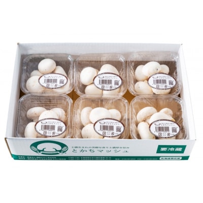 とかちマッシュ ホワイト100g×6パック