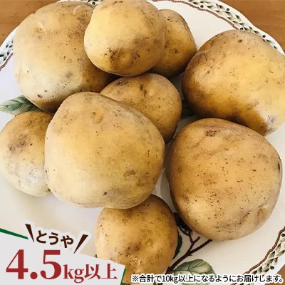  じゃがいも2種+ながいも 計10kgセット　北海道十勝帯広産