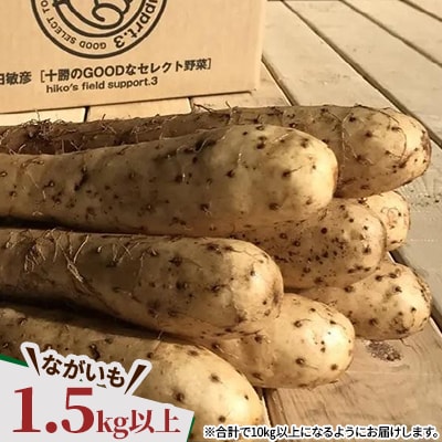  じゃがいも2種+ながいも 計10kgセット　北海道十勝帯広産