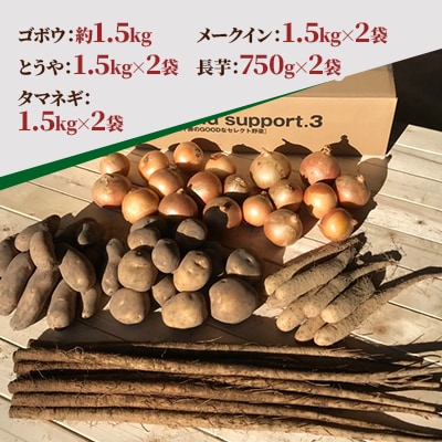 冬の味覚野菜5種セット A 計約12kg 北海道十勝帯広産
