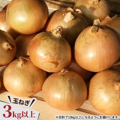 じゃがいも2種 玉ねぎ 合計10kgセット 北海道十勝帯広産