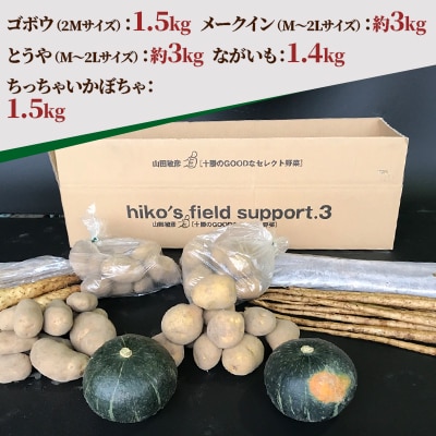冬の味覚 野菜4種セット B 計10.4kg 北海道十勝帯広産