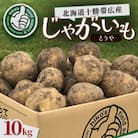 じゃがいも (とうや)10kg 北海道十勝帯広産