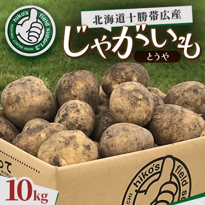 じゃがいも (とうや)10kg 北海道十勝帯広産