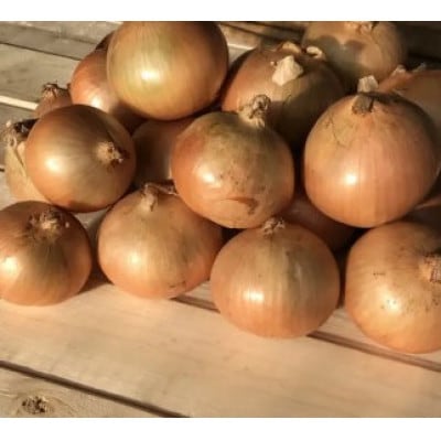 【訳あり】北海道 十勝 帯広産 玉ねぎ 20kg