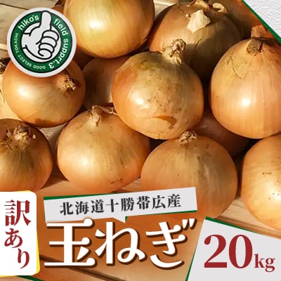 【訳あり】北海道 十勝 帯広産 玉ねぎ 20kg