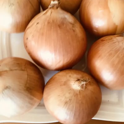 【訳あり】北海道 十勝 帯広産 玉ねぎ 20kg