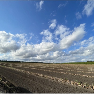 【訳あり】北海道 十勝 帯広産 玉ねぎ 20kg