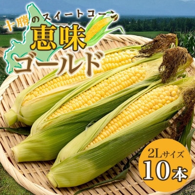 【2025年 先行受付】十勝 恵味ゴールド 10本 2Lサイズ 甘いスイートコーン 北海道 帯広市