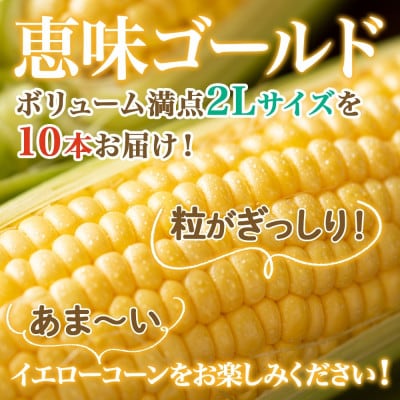 【2025年 先行受付】十勝 恵味ゴールド 10本 2Lサイズ 甘いスイートコーン 北海道 帯広市