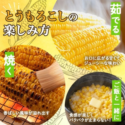 【2025年 先行受付】十勝 恵味ゴールド 10本 2Lサイズ 甘いスイートコーン 北海道 帯広市