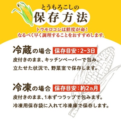 【2025年 先行受付】十勝 恵味ゴールド 10本 2Lサイズ 甘いスイートコーン 北海道 帯広市