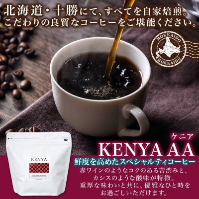 コーヒー豆 ケニア 100g 1袋 鮮度を高めたスペシャリティコーヒー 北海道 帯広市