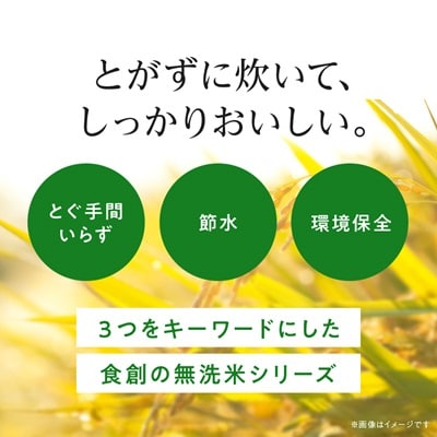 【令和7年産新米予約】 北海道産 ゆめぴりか 無洗米 10kg (5kg×2) ＜令和6年特A受賞＞