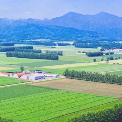 【毎月定期便】北海道産 ななつぼし 無洗米 10kg (5kg×2袋)全3回