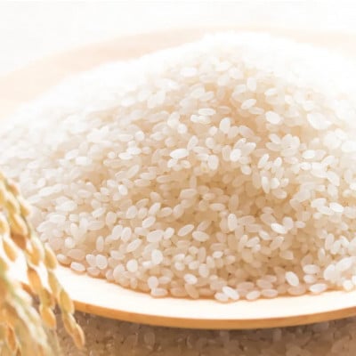 【毎月定期便】北海道産 ゆめぴりか 無洗米 10kg (5kg×2袋) <令和6年 特A受賞>全3回