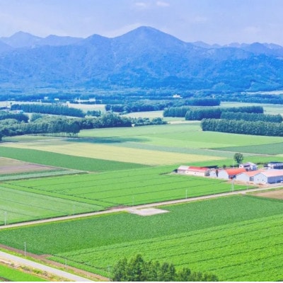 【毎月定期便】北海道産 ゆめぴりか 無洗米 10kg (5kg×2袋) <令和6年 特A受賞>全3回