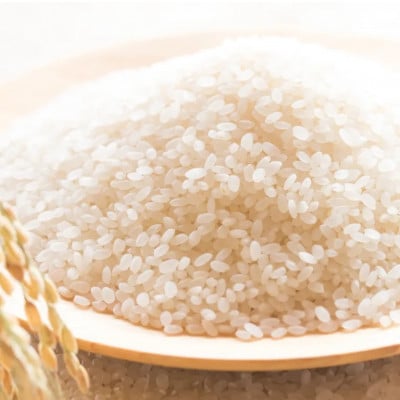 【毎月定期便】北海道産 ななつぼし 無洗米 10kg (5kg×2袋) <令和6年 特A受賞>全3回