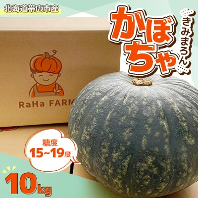 北海道帯広市産　かぼちゃ「きみまろん」10kg　糖度15～19