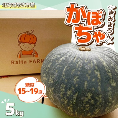 北海道帯広市産　かぼちゃ「きみまろん」5kg　糖度15～19度