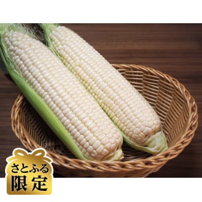 【さとふる限定】【先行受付】甘さ旨みぎゅっと凝縮ホワイトコーン 計6kg