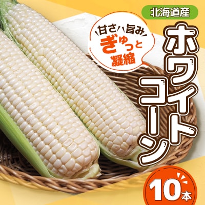 【先行受付】甘さ旨みぎゅっと凝縮ホワイトコーン 10本