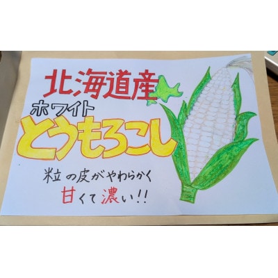 【さとふる限定】【先行受付】甘さ旨みぎゅっと凝縮ホワイトコーン 計6kg