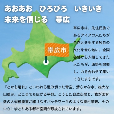 【返礼品なし】帯広市への応援寄附(1口1,000円)