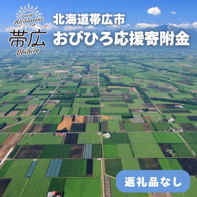 【返礼品なし】帯広市への応援寄附(1口5,000円)