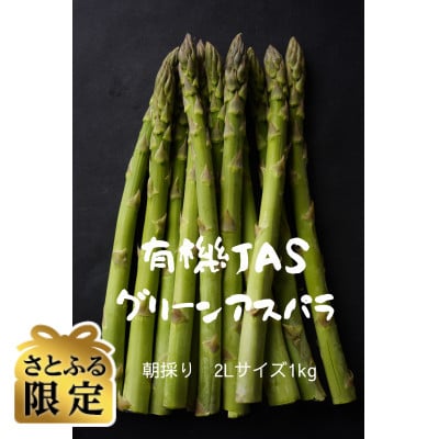 【さとふる限定】【予約受付中2026年5月より順次発送】有機JASグリーンアスパラ　2Lサイズ1kg