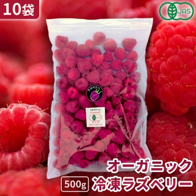 有機JAS認証 冷凍ラズベリー2種食べ比べセット 5kg (500g×10袋)【十勝産 希少品種】