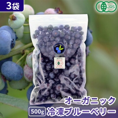 【令和8年8月以降出荷】有機JAS認証 冷凍ブルーベリー1.5kg(500g×3袋)【北海道十勝産】