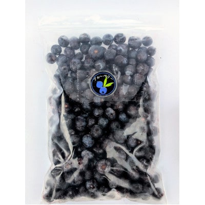 【北海道十勝産 希少品種】冷凍ブルーベリー500g×5袋