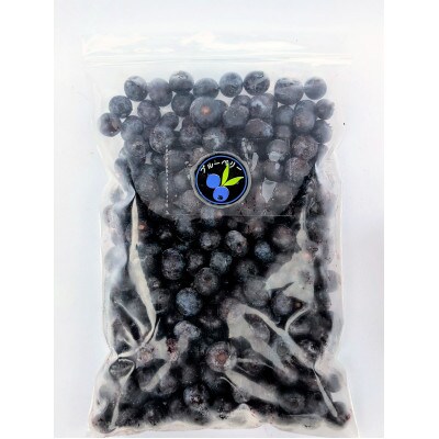 【北海道十勝産 希少品種】冷凍ブルーベリー500g×2袋