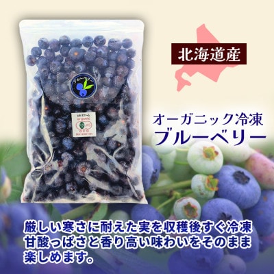 【令和8年8月以降出荷】有機JAS認証 冷凍ブルーベリー5kg(500g×10袋)【北海道十勝産】