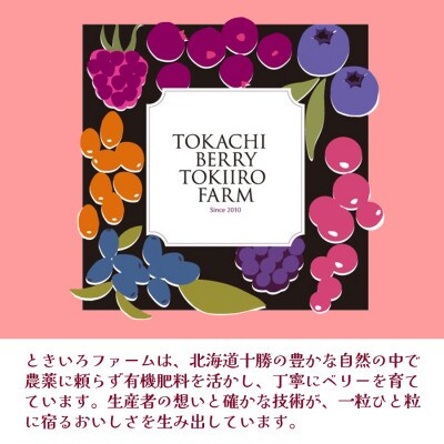 【北海道十勝産 贅沢ピューレ】冷凍ラズベリーピューレ 5kg(500g×10袋)