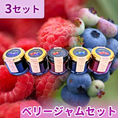 ベリージャムセット全5種 各70g×3セット