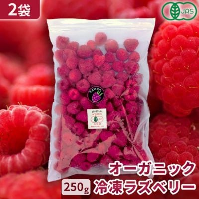 有機JAS認証 冷凍ラズベリー2種食べ比べセット 500g (250g×2袋)【十勝産 希少品種】