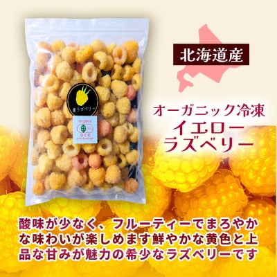 【令和8年10月以降出荷】冷凍イエローラズベリー 3kg(500g×6袋)  有機JAS認証
