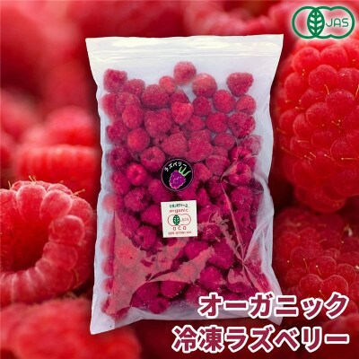 【令和8年8月以降出荷】有機JAS認証 冷凍ラズベリー2種食べ比べ 3.5kg (500g×7袋)