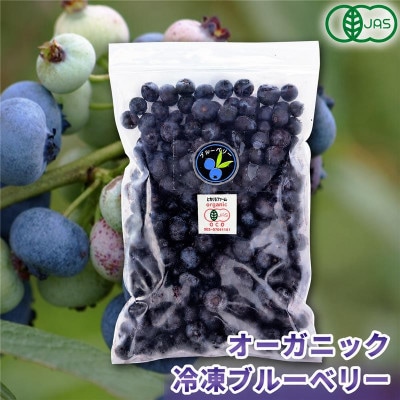 【令和8年8月以降出荷】有機JAS認証 冷凍ブルーベリー4.5kg(500g×9袋)【北海道十勝産】