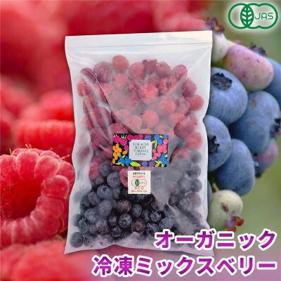 【令和8年8月以降出荷】有機JAS認証冷凍ミックスベリー3.5kg(500g×7袋)【北海道十勝産】