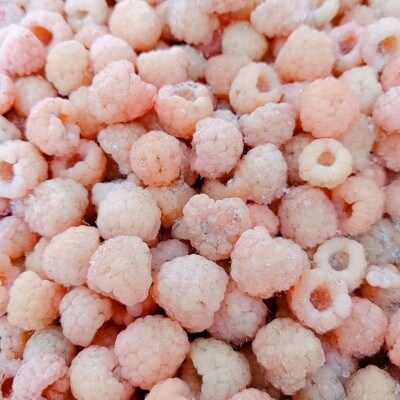 【令和8年10月以降出荷】冷凍イエローラズベリー 2kg(500g×4袋)