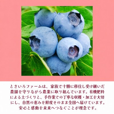 有機JAS認証北海道帯広産 冷凍カシス 2kg(500g×4袋)