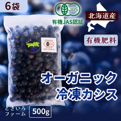 有機JAS認証北海道帯広産 冷凍カシス 3kg(500g×6袋)