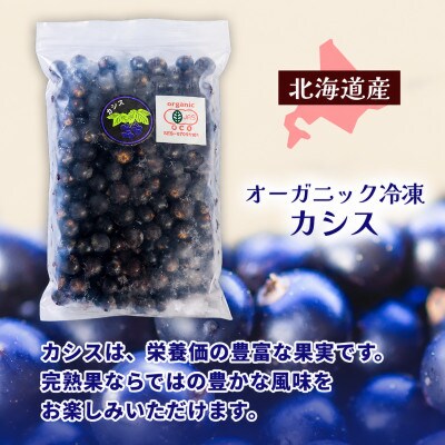 有機JAS認証北海道帯広産 冷凍カシス 3.5kg(500g×7袋)