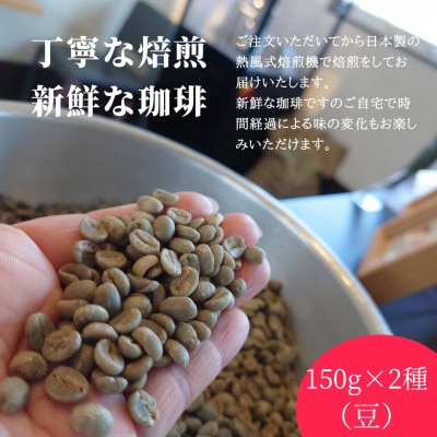 熊乃珈琲 スペシャルティコーヒー【浅煎り・中煎り】(豆)